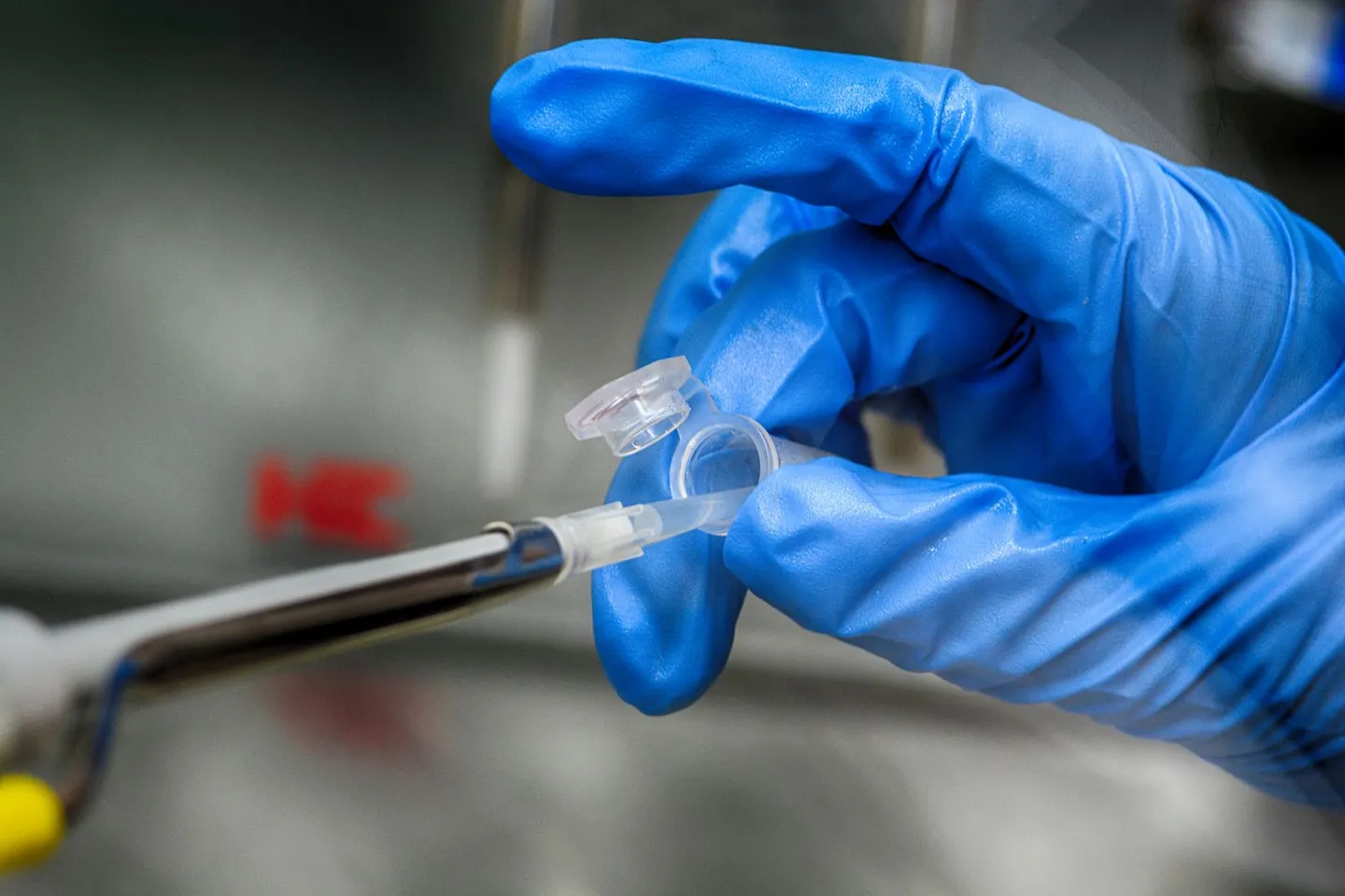 Gloved hands transferring a laboratory sample with a pipette